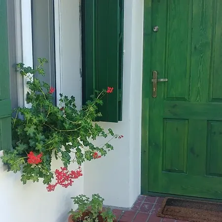 Nad Jeziorem Zajączkowskim * Pniewy (Greater Poland)