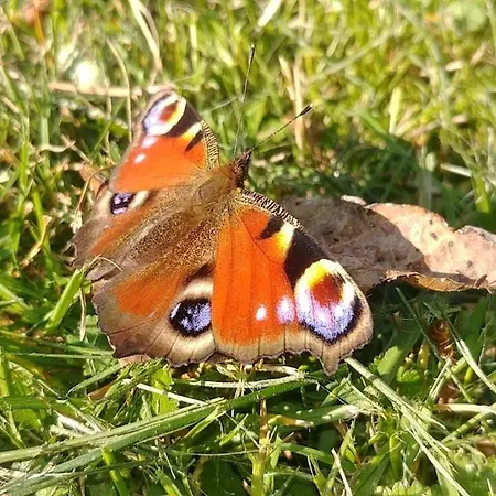 Nad Jeziorem Zajączkowskim Dom wakacyjny