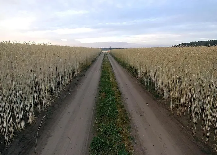 Nad Jeziorem Zajaczkowskim Holiday home Pniewy (Greater Poland)