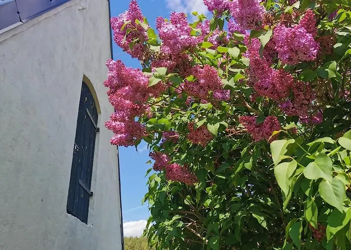 Nad Jeziorem Zajaczkowskim