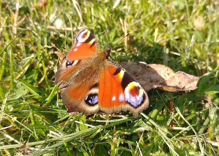 Nad Jeziorem Zajaczkowskim Holiday home