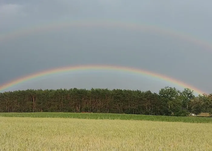 Holiday home Nad Jeziorem Zajaczkowskim