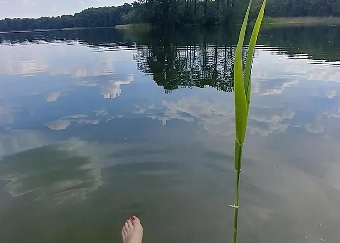 Nad Jeziorem Zajaczkowskim Holiday home *